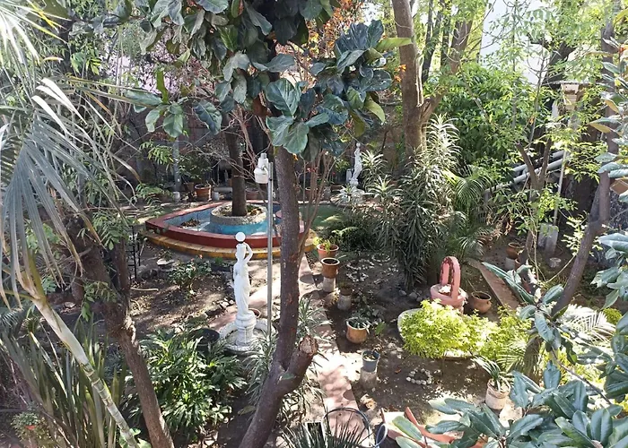 Apartment Camelia