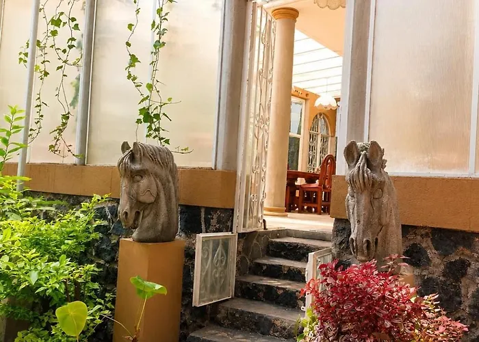 Apartment Camelia Mexico City