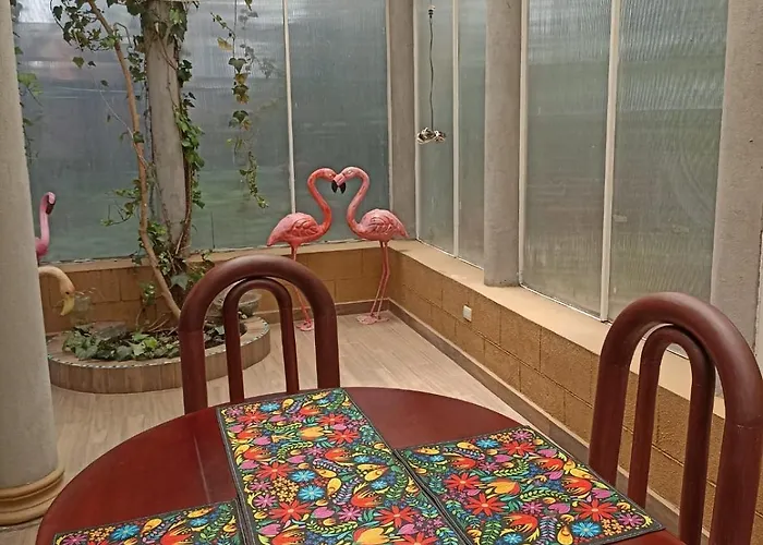 Camelia Apartment